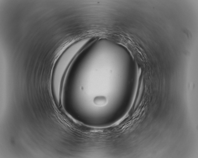 X0000111420052200907131210