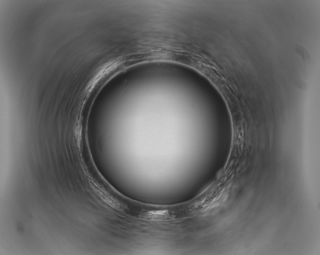 X0000111420054200907131211