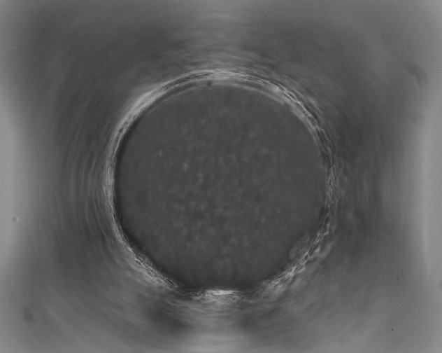 X0000111420055200907131211