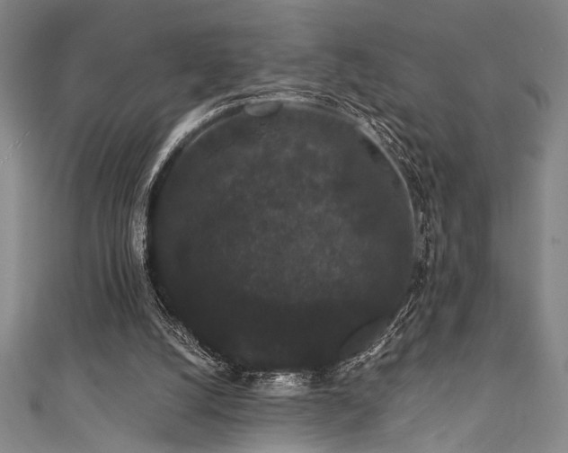 X0000111420056200907131211