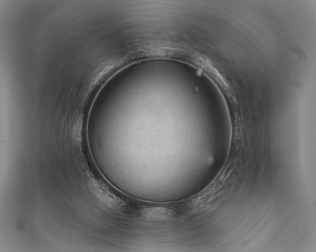 X0000111420058200907131211