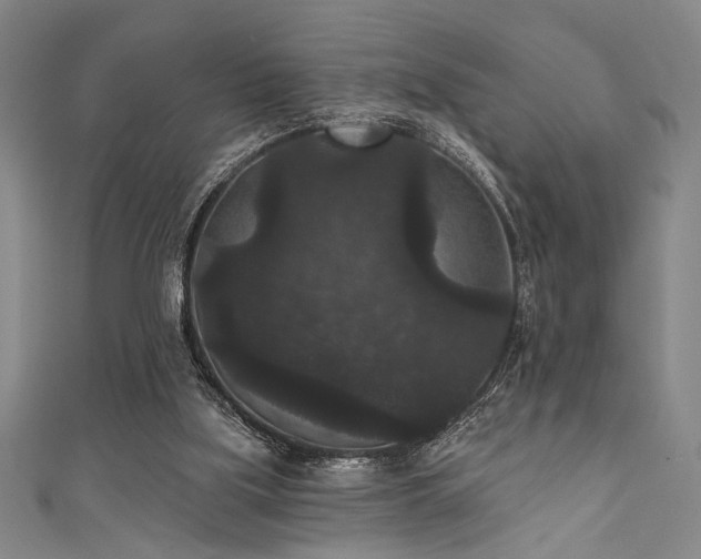 X0000111420059200907131211