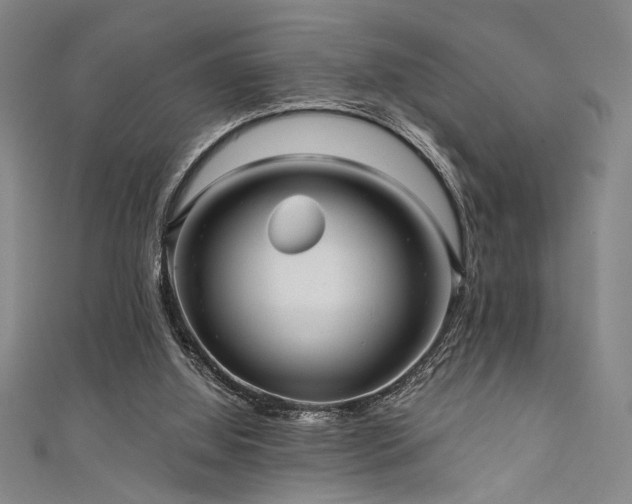 X0000111420060200907131211