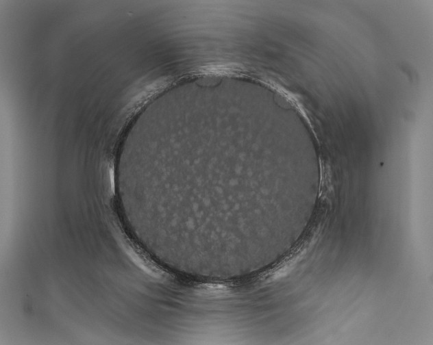 X0000111420061200907131211