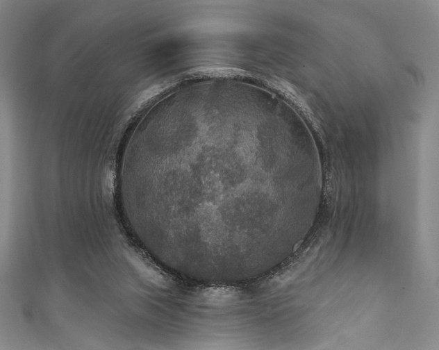 X0000111420063200907131211