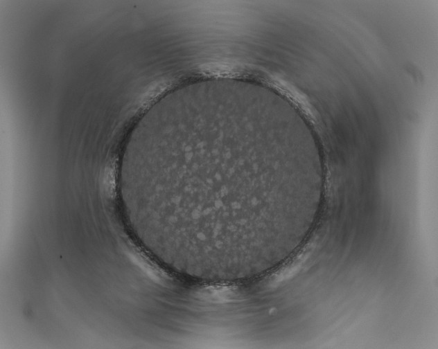 X0000111420065200907131211