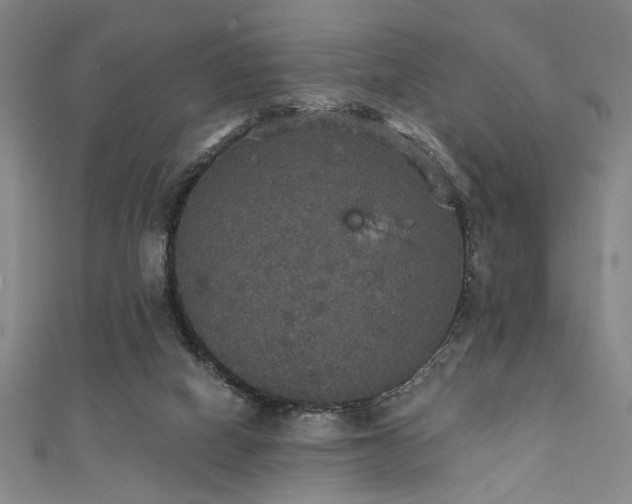 X0000111420066200907131211