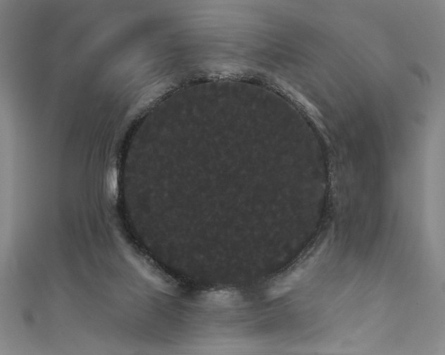 X0000111420067200907131211