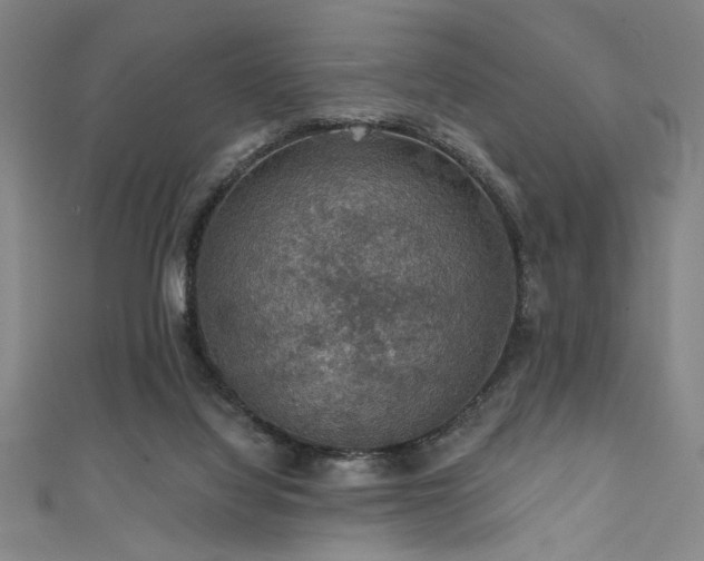 X0000111420068200907131211