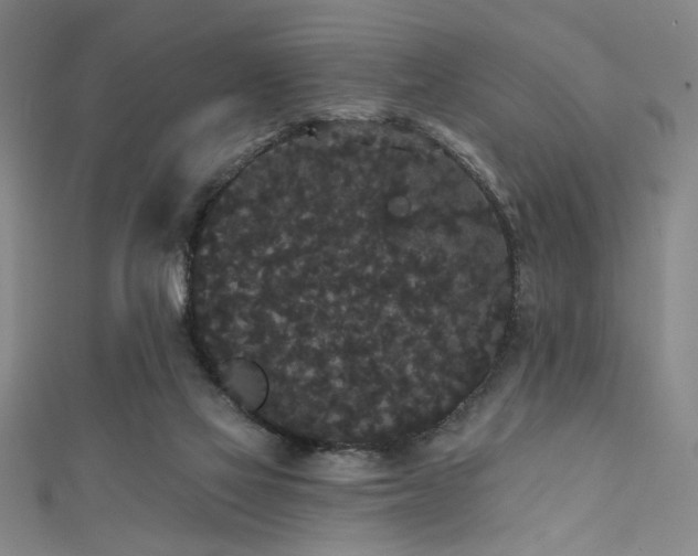 X0000111420069200907131211