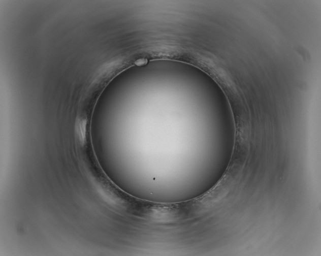 X0000111420070200907131211