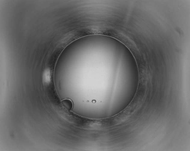 X0000111420075200907131211