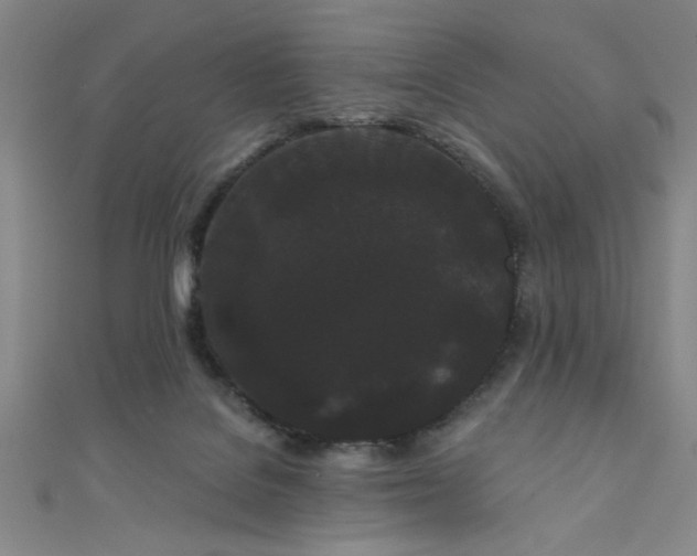 X0000111420076200907131211