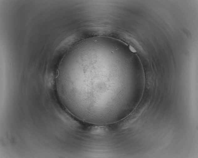 X0000111420077200907131211