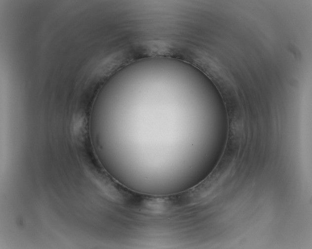 X0000111420079200907131211