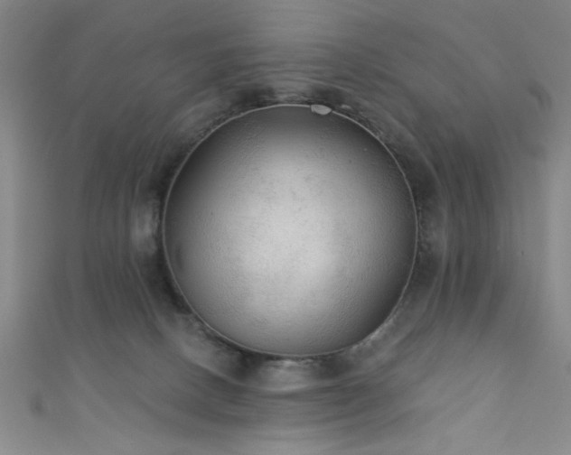 X0000111420082200907131211