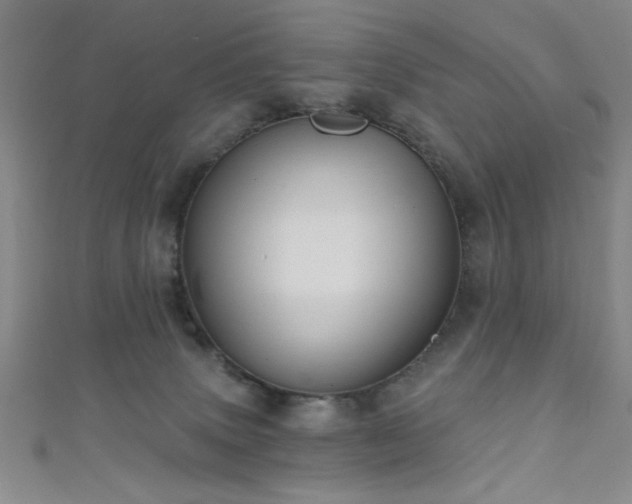 X0000111420083200907131211