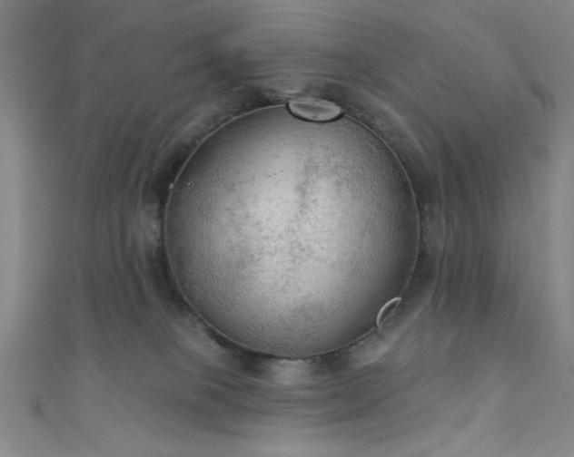 X0000111420085200907131211