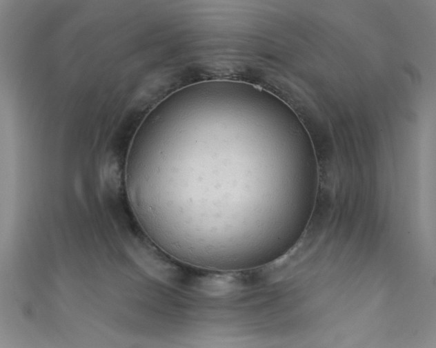 X0000111420086200907131211