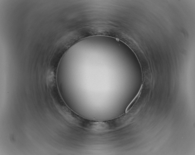 X0000111420087200907131211