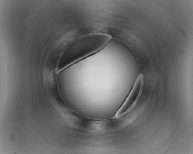 X0000111420088200907131211