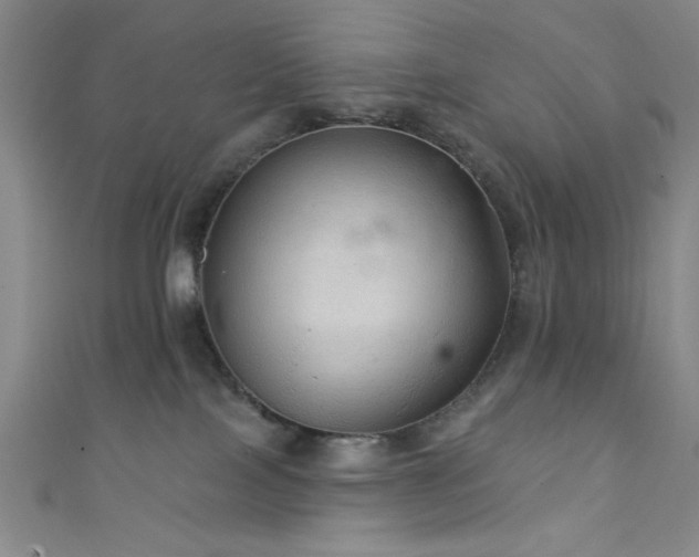 X0000111420089200907131211