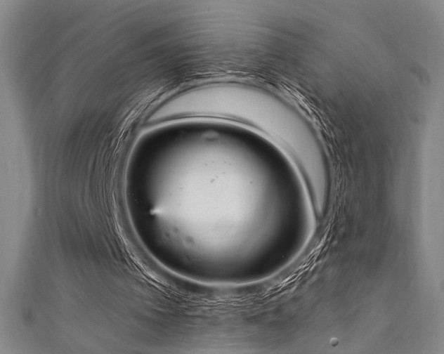 X0000111420097200907131210