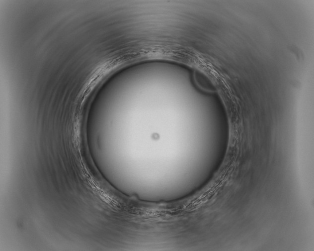 X0000111420098200907131210