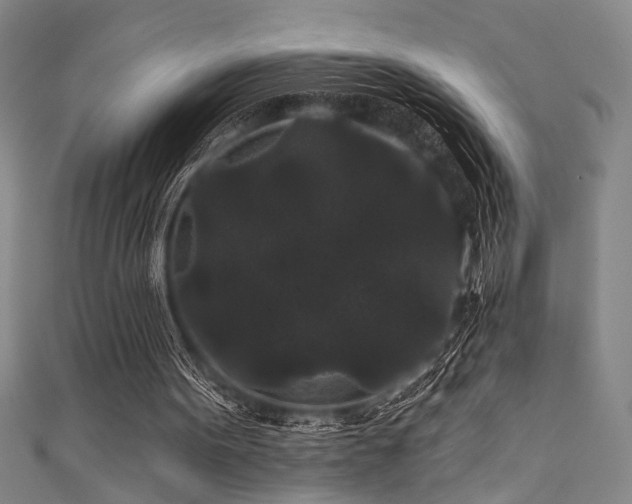 X0000111420099200907131210