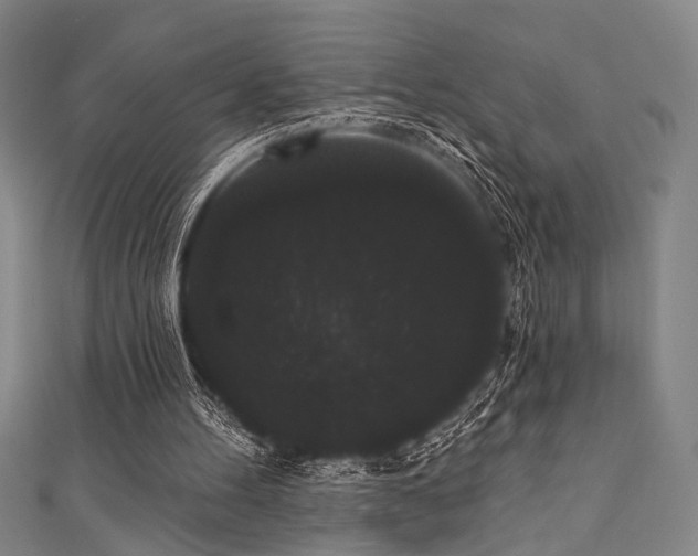 X0000111420100200907131210