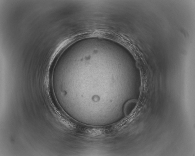 X0000111420102200907131210