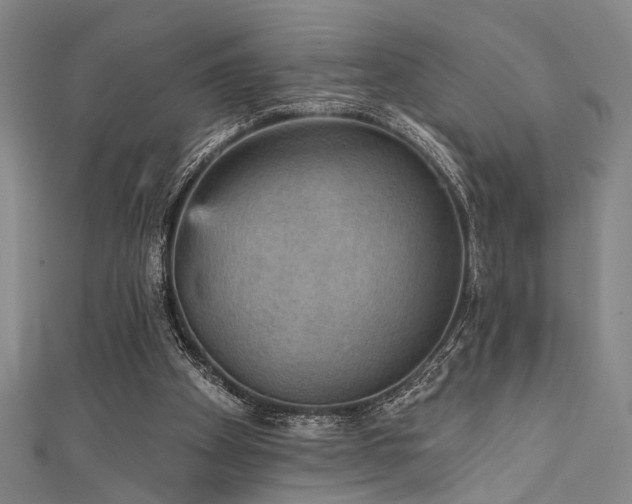 X0000111420105200907131210