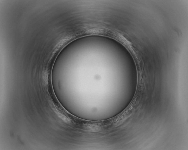 X0000111420106200907131210