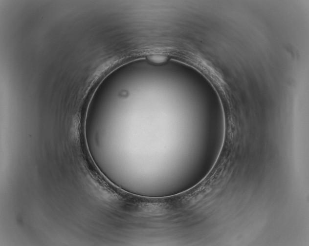 X0000111420107200907131210