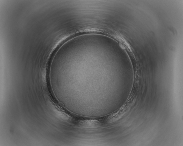 X0000111420108200907131210