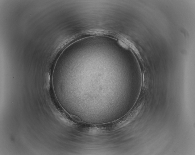 X0000111420109200907131210