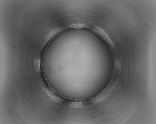 X0000111420110200907131210