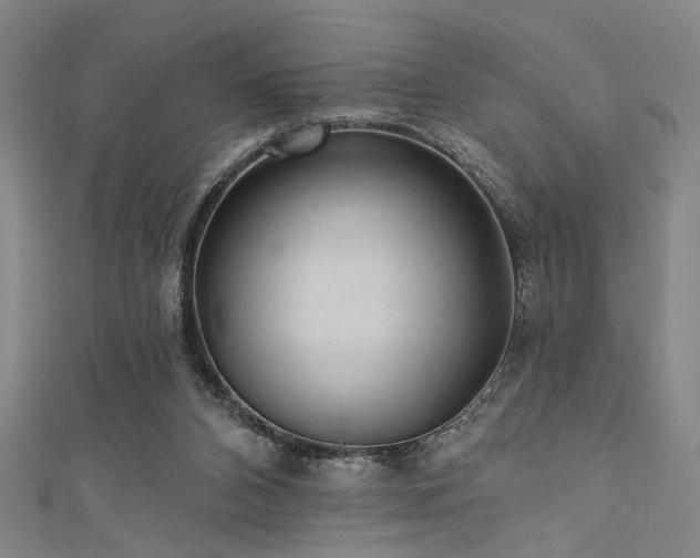 X0000111420112200907131210