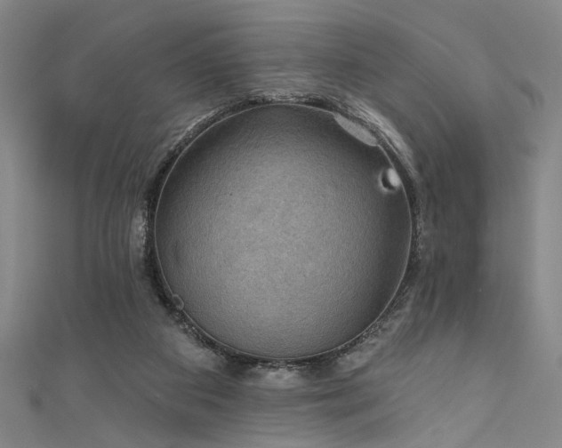 X0000111420113200907131210