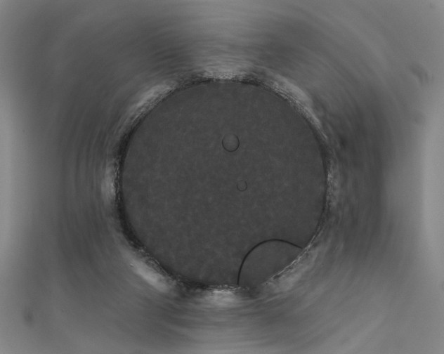 X0000111420114200907131210