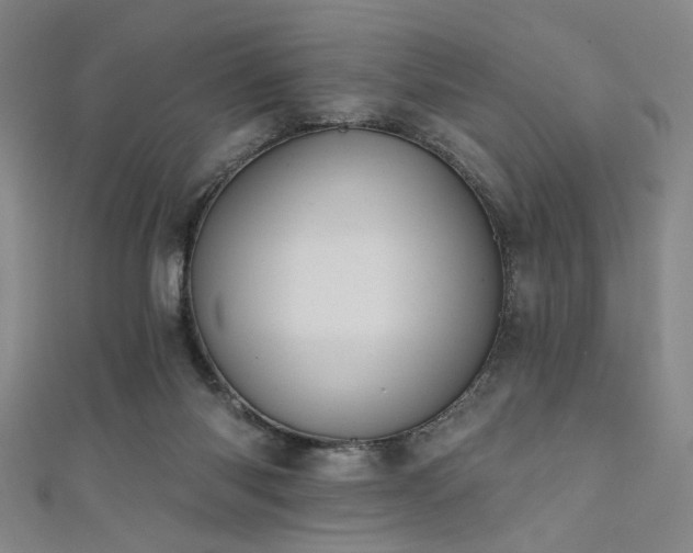 X0000111420118200907131210