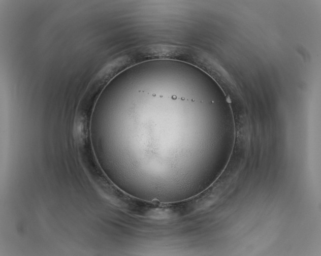 X0000111420119200907131210