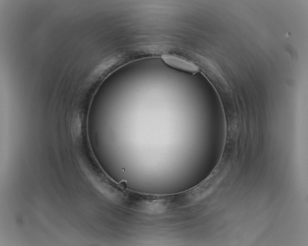 X0000111420120200907131210