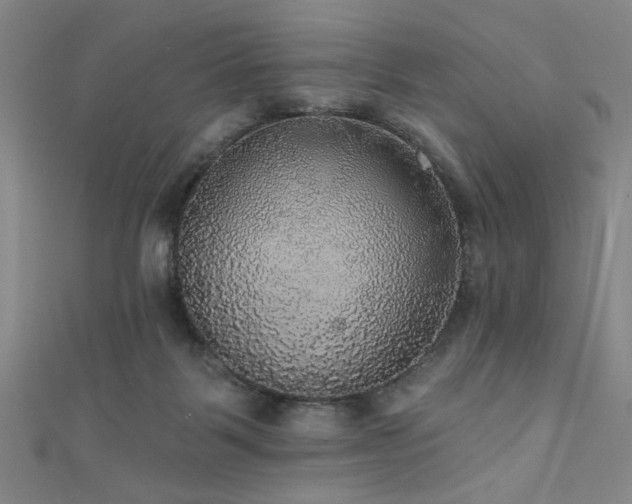 X0000111420123200907131210