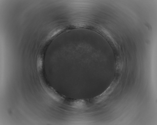 X0000111420124200907131210