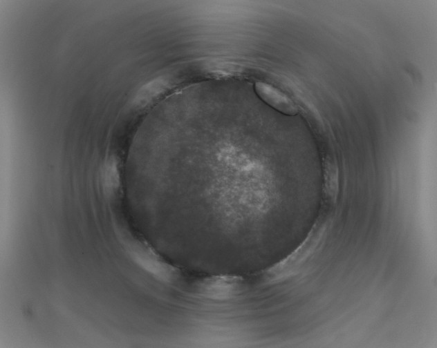 X0000111420128200907131210