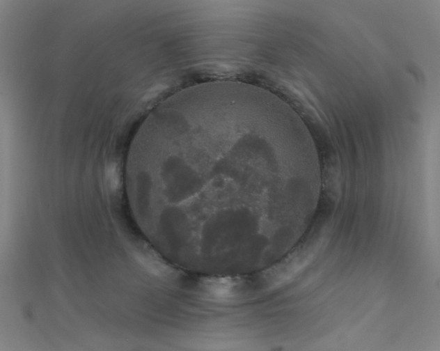 X0000111420131200907131210