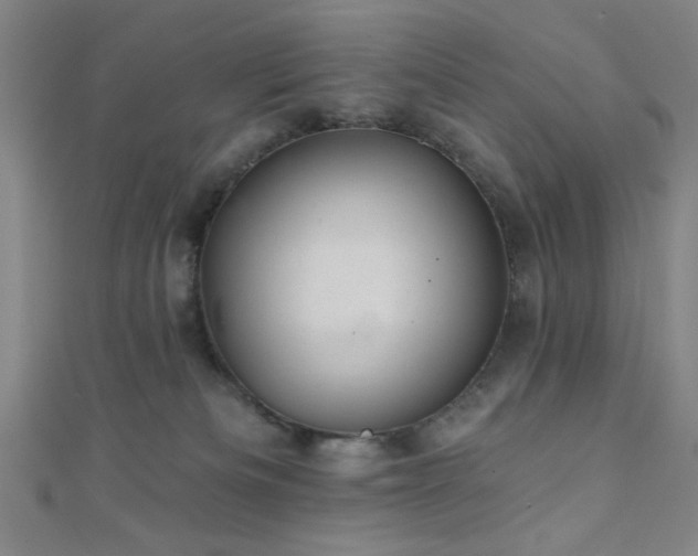 X0000111420133200907131210