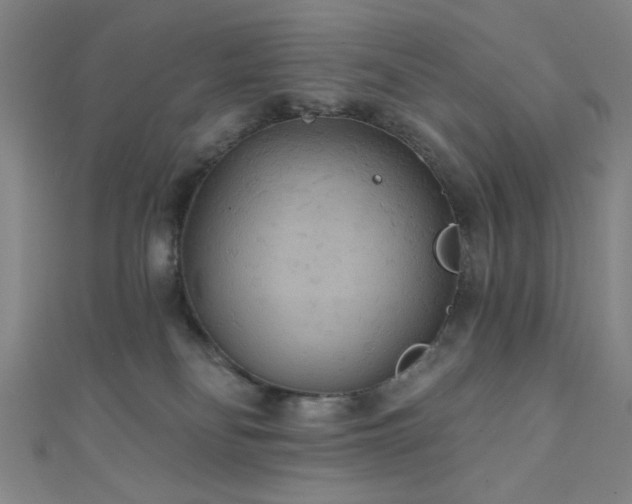 X0000111420134200907131210