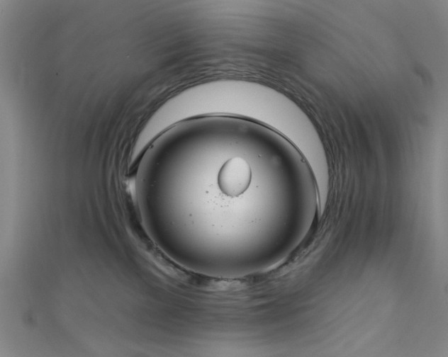 X0000111420137200907131210